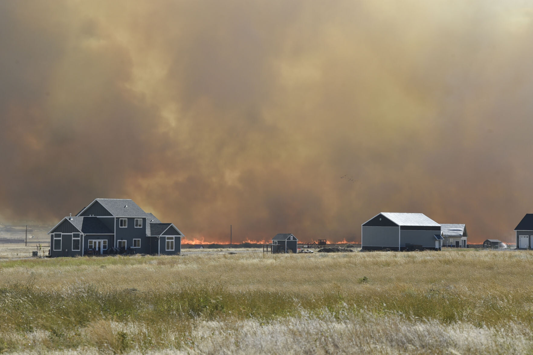 Birdseye Grass Fire